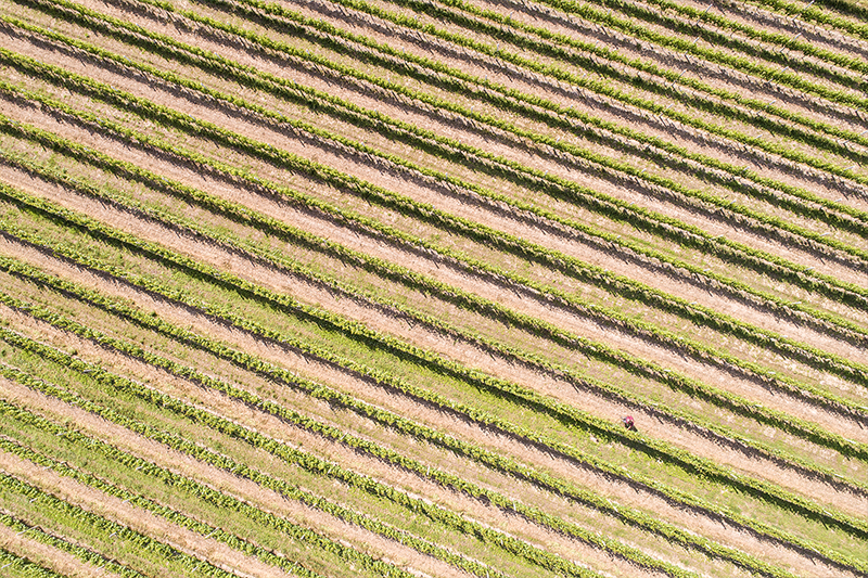 Azienda Agricola Comai
